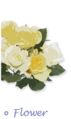 Flower フラワー
