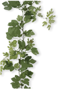 Garland
