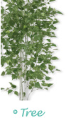 Tree ツリー